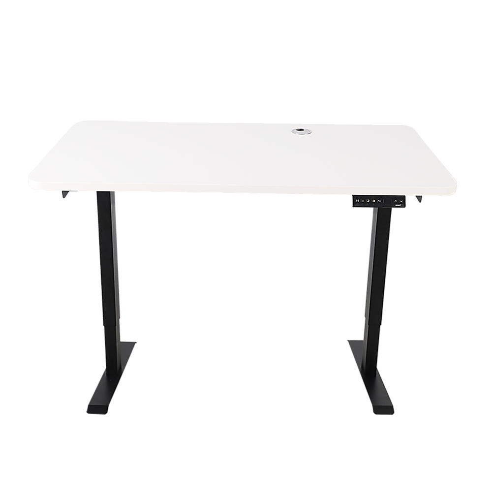 Palermo Standing Desk Sit Stand Height Adjustable Motorised 120cm Table Dual Motor