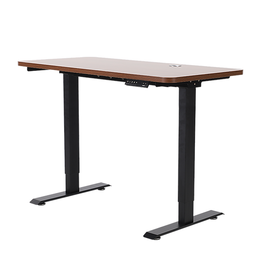 Palermo Standing Desk Sit Stand Height Adjustable Motorised 120cm Table Dual Motor