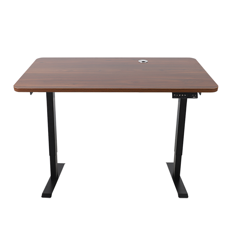 Palermo Standing Desk Sit Stand Height Adjustable Motorised 120cm Table Dual Motor