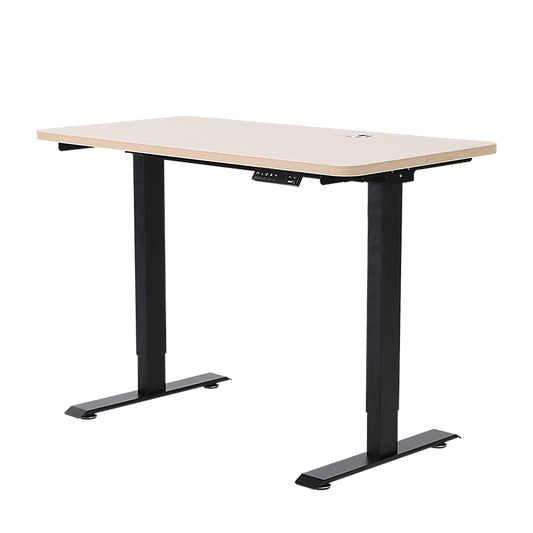 Palermo Standing Desk Sit Stand Height Adjustable Motorised 120cm Table Dual Motor